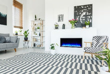 Load image into Gallery viewer, Scion 43"