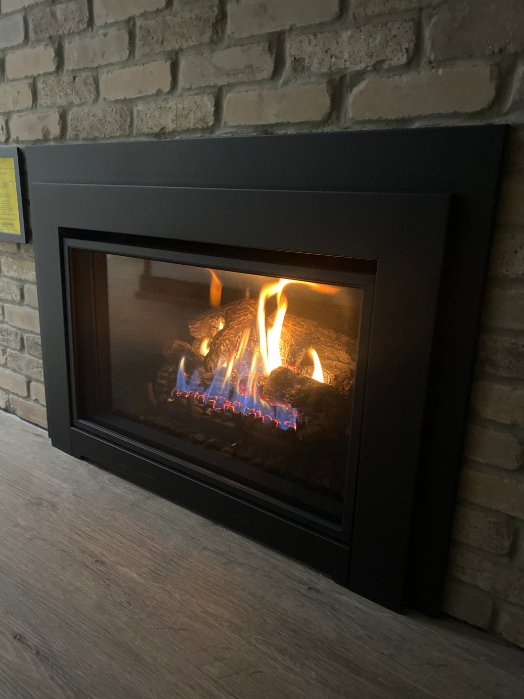 Direct Vent Gas Insert 30