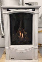 Load image into Gallery viewer, Napoleon Castlemore Winter Frost Direct Vent Stove
